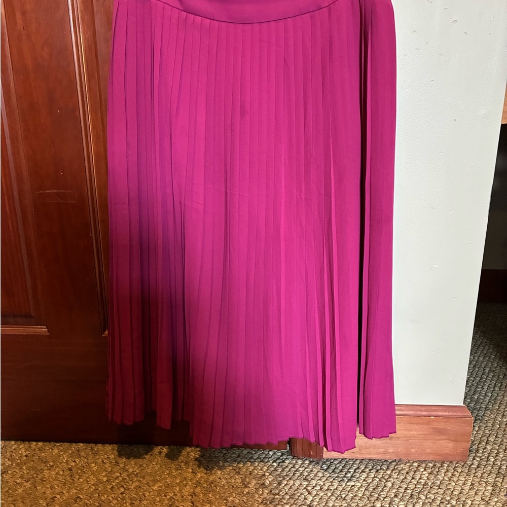 Elegant J. Crew Pink Pleated Skirt - size 8.